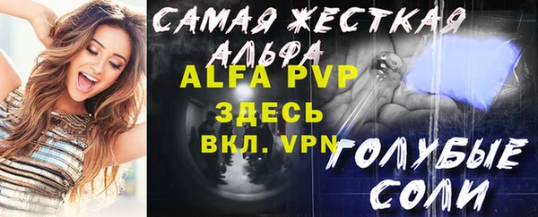 амф Каменногорск